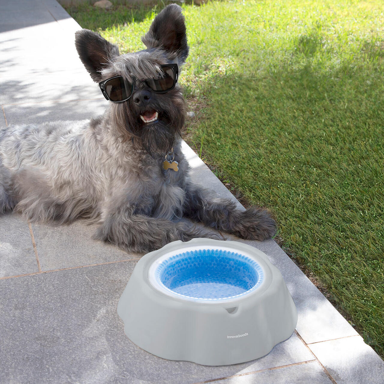 Bebedero Refrescante para Mascotas Freshty