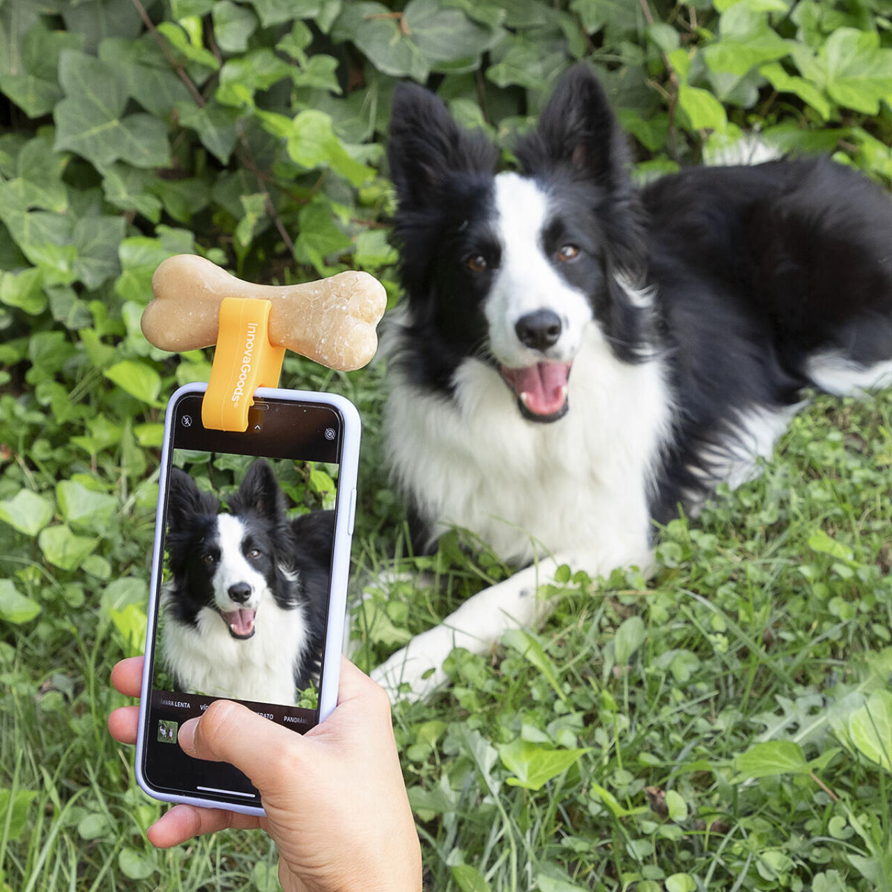 Clip de Selfies para Mascotas Pefie