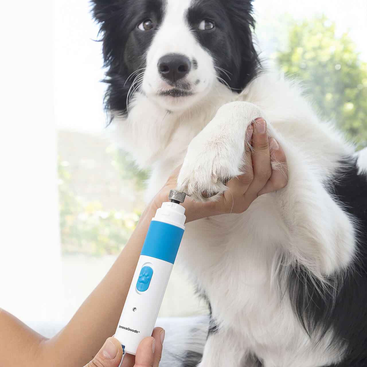 Lima de Uñas Recargable para Mascotas Pawy