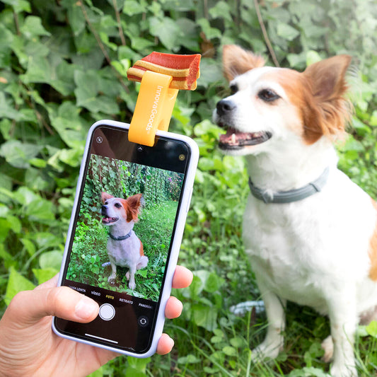 Clip de Selfies para Mascotas Pefie