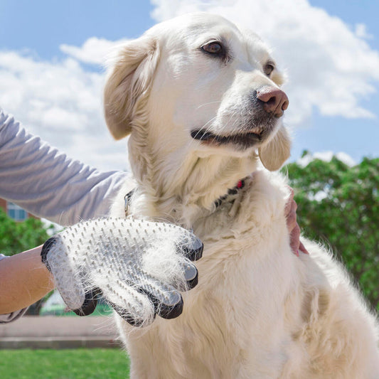 Guante para Cepillar y Masajear Mascotas Relpet