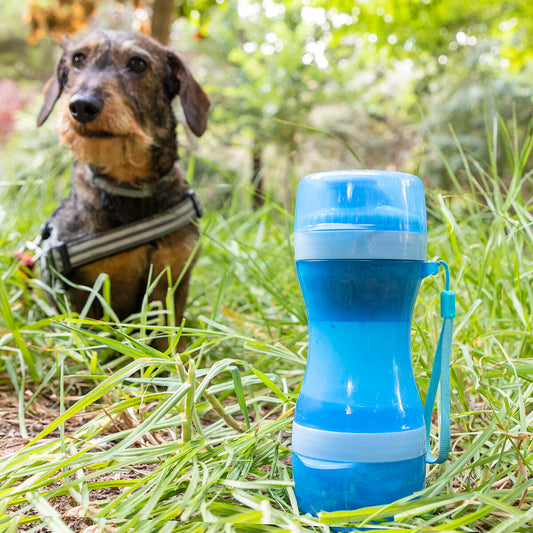 Botella con Depósito de Agua y Comida para Mascotas 2 en 1 Pettap