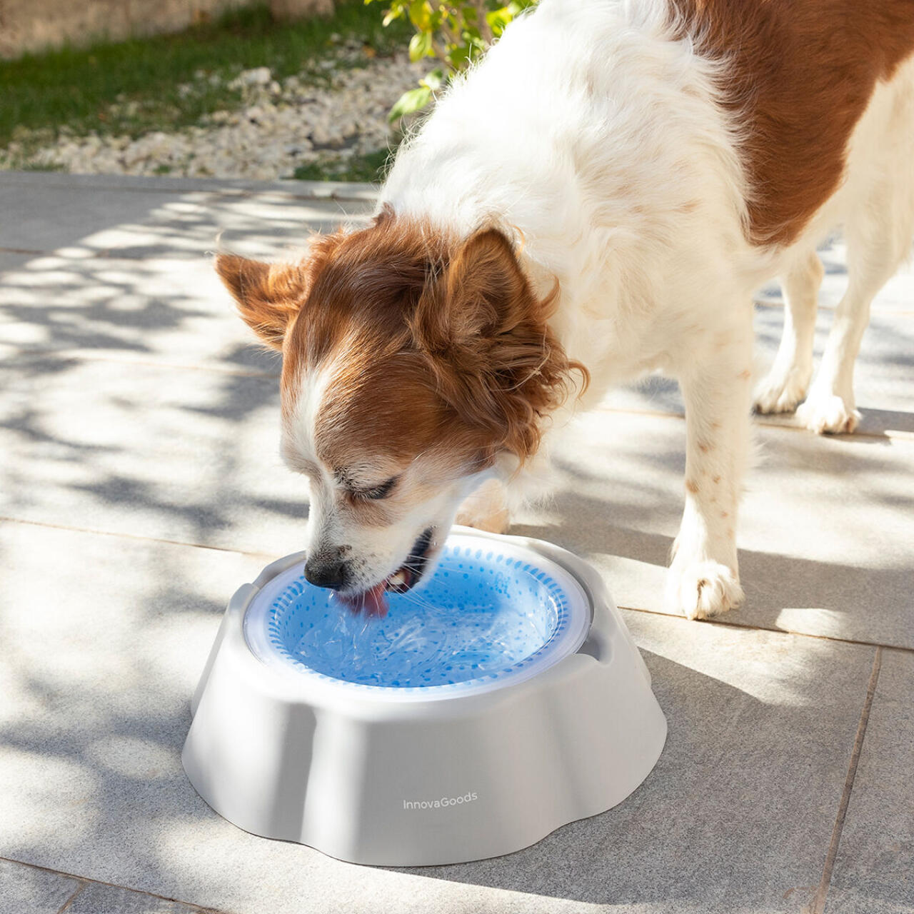 Bebedero Refrescante para Mascotas Freshty